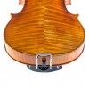 Barbada viola central Flesh-Flat ébano trasera
