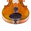 Barbada viola central Flesh-Flat palisandro frontal