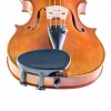 Barbada Viola Wittner lateral 251131 frontal