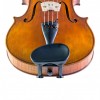 Barbada Viola Wittner central 254131 frontal