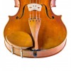 Barbada viola lateral Kaufmann Boj frontal