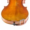 Barbada viola lateral Extra-Flat Boj trasera