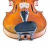 Barbada Viola Wittner central Augsburg 257131 frontal