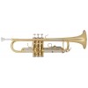 Trompeta Bach standard TR-655