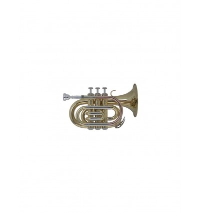 Trompeta Bach standard PT650D