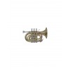 Trompeta Bach standard PT650D