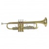 Trompeta Bach standard TR-650