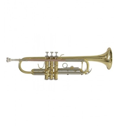 Trompeta Bach standard TR-501