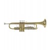 Trompeta Bach standard TR-501