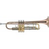 Trompeta J.Michael 450 