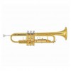 Trompeta Gara Winds GTR-101