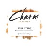 Contrabajo For-Tune Charm Orchestra Medium