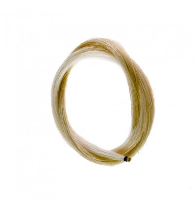 Encerdadura natural Mongolia violín