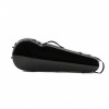 Estuche viola Rapsody Rainbow forma negro