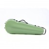 Estuche viola Rapsody Rainbow forma verde