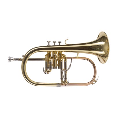 Fliscorno Amadeus pistones Monel FLH450 estuche