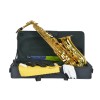 Saxo Alto Amadeus AL850 maletin