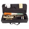 Saxo Alto Amadeus AL860