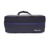 Trompeta Amadeus TR600 estuche