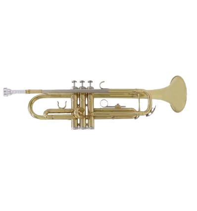 Trompeta Amadeus TR600