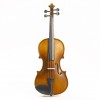 Violín Stentor Graduate