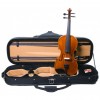Violín F.Müller Virtuoso estuche