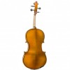 Viola Gliga Genial II trasera