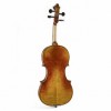Viola Tradizione Legato trasera