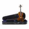 Viola Tradizione Legato
