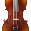 Viola F.Müller Soloist cordal