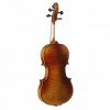 Viola F.Müller Soloist