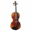 Viola F.Müller Soloist