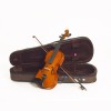 Violín Stentor student Standard estuche