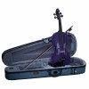 Violin Stentor Harlequin violeta