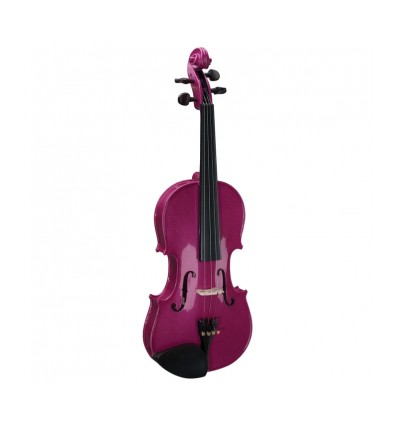 Violin Stentor Harlequin berenjena