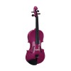 Violin Stentor Harlequin berenjena