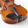 Violín Stentor Messina