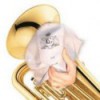 Gamuza - limpiador BG todos los instrumentos A-62