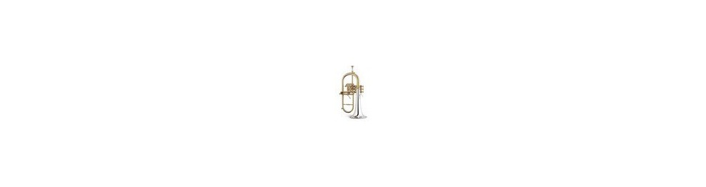 Fliscornos