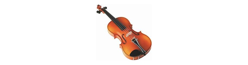 Violin