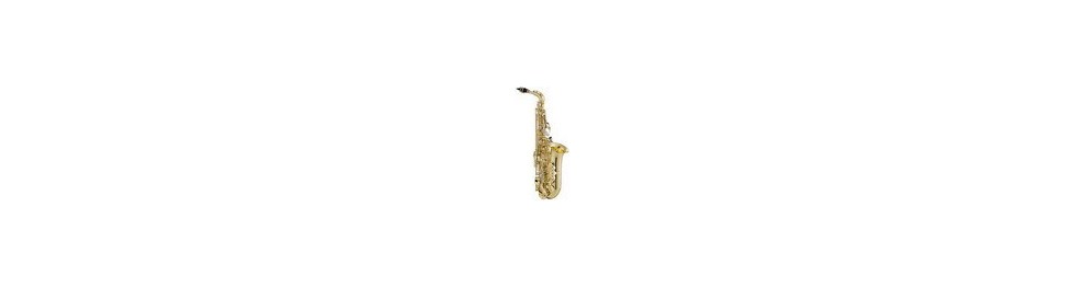 Saxo Alto