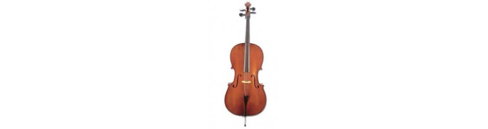 Arcos de cello