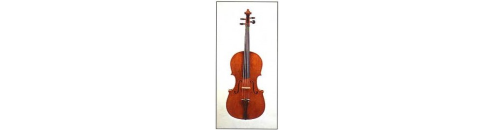 Cuerdas viola
